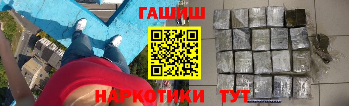 ГАШ гарик  Шали 