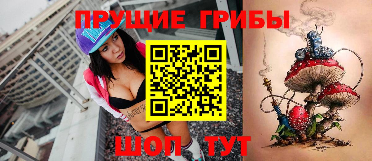 Шали  Псилоцибиновые грибы Psilocybe  Вход с VPN 