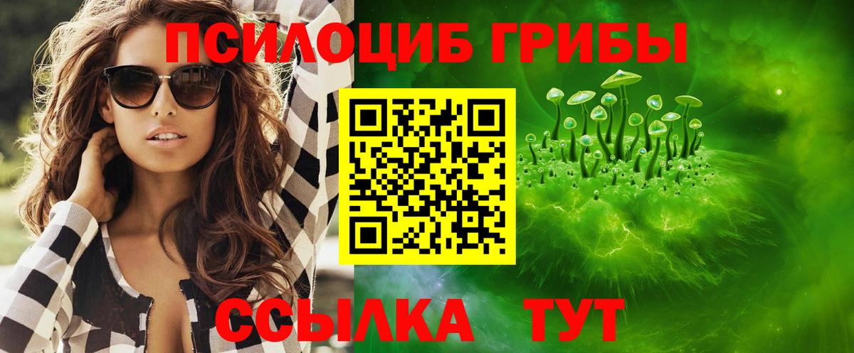 Псилоцибиновые грибы прущие грибы  Шали  Галлюциногенные грибы GOLDEN TEACHER 