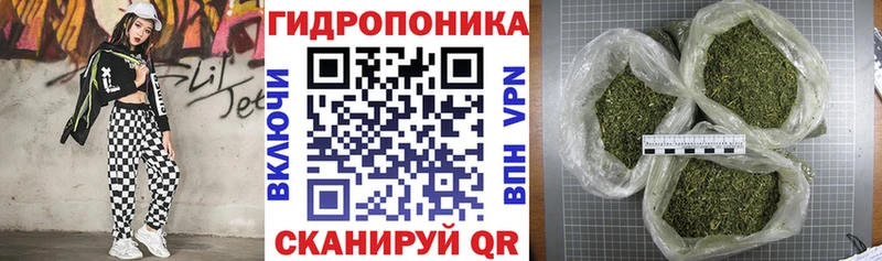 Конопля планчик  Шали 